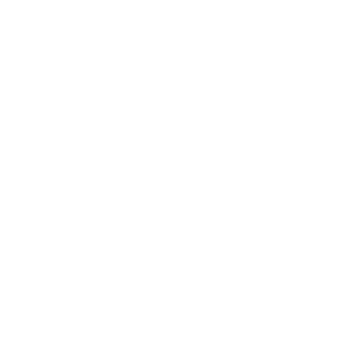 winter icon