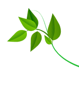 Decorative leaf icon