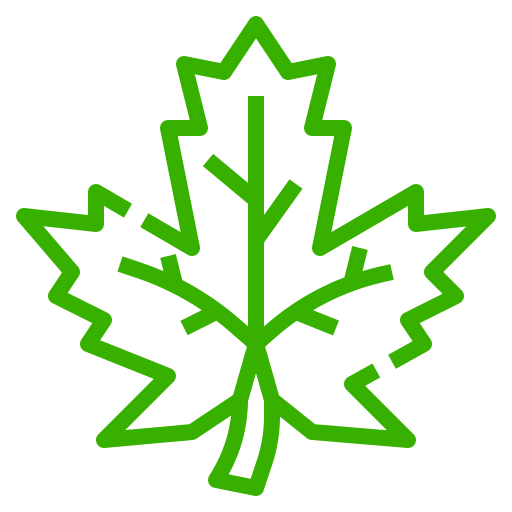 leaf icon