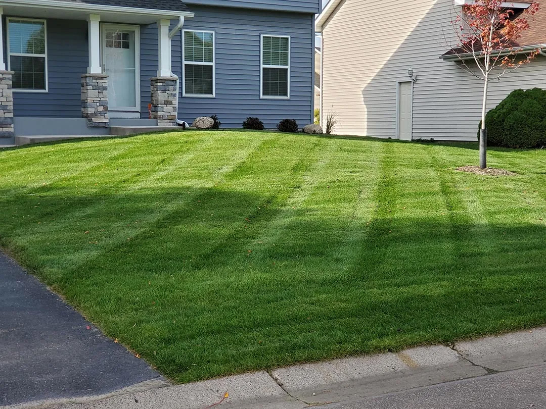 A large residential property transformed with professional landscaping