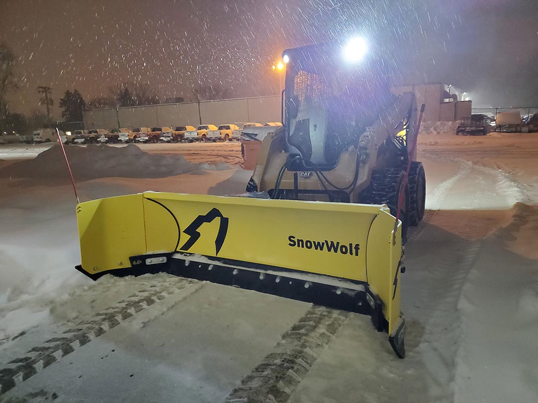 Professional SnowWolf
