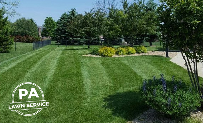 A perfectly manicured, lush green lawn